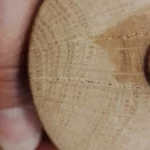 Cernes de chênes, vue du bois de bout