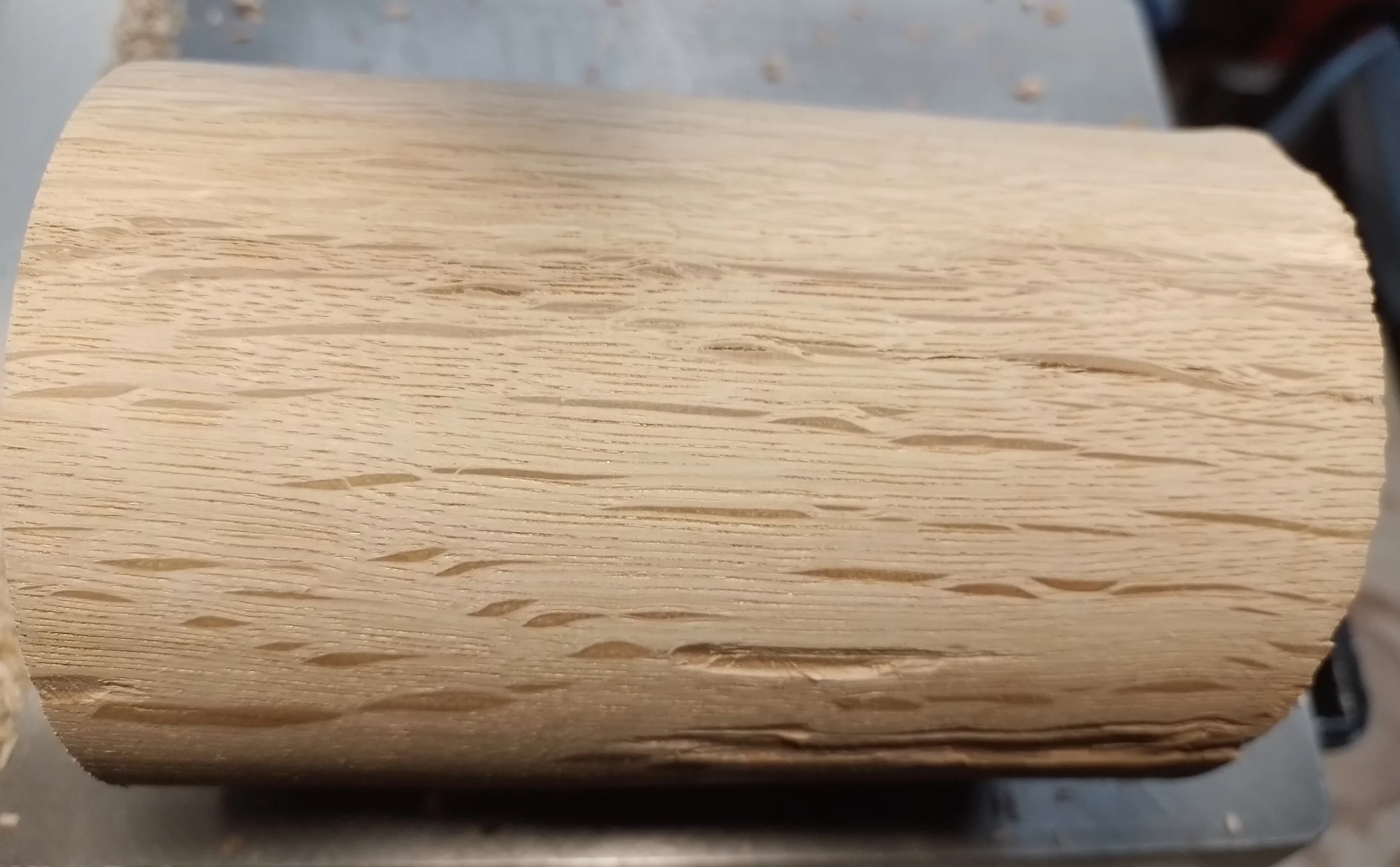 Reconnaître le bois épisode 1